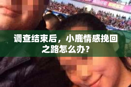 调查结束后，小鹿情感挽回之路怎么办？