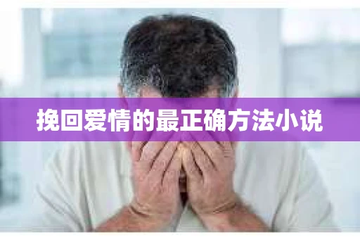 挽回爱情的最正确方法小说