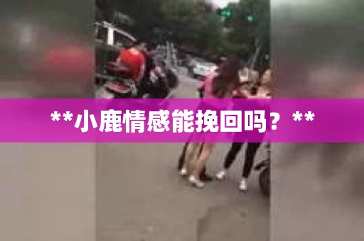 **小鹿情感能挽回吗？**