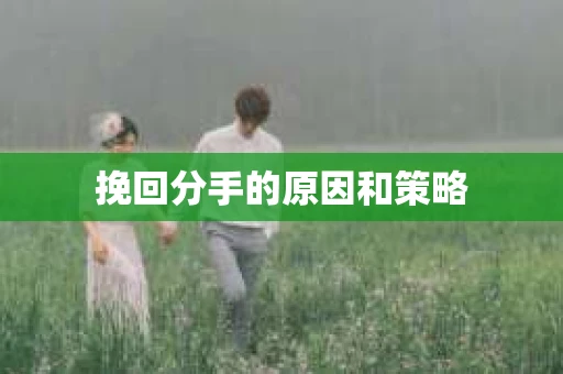 挽回分手的原因和策略
