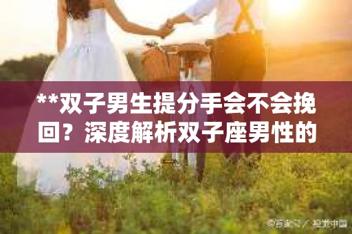 **双子男生提分手会不会挽回？深度解析双子座男性的情感决策**