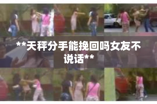 **天秤分手能挽回吗女友不说话**