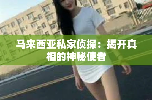 马来西亚私家侦探：揭开真相的神秘使者