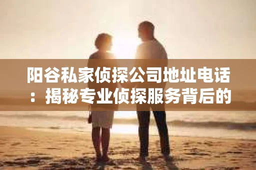 阳谷私家侦探公司地址电话：揭秘专业侦探服务背后的故事
