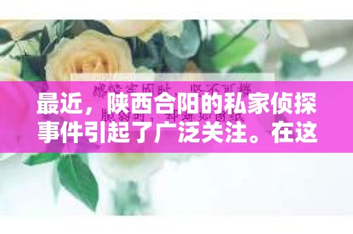 最近，陕西合阳的私家侦探事件引起了广泛关注。在这个信息爆炸的时代，隐私保护显得尤为重要。今天，我们就来聊聊这个事件，看看它背后的一些故事。