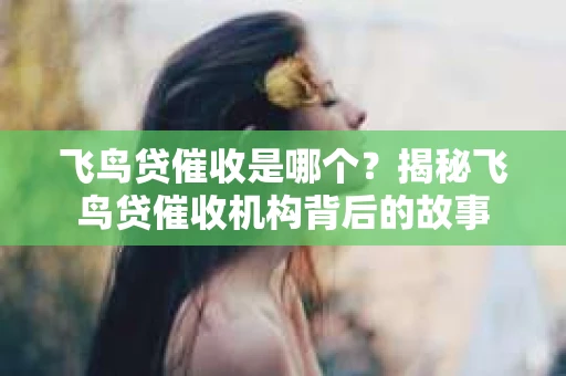 飞鸟贷催收是哪个？揭秘飞鸟贷催收机构背后的故事