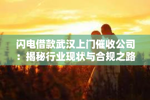 闪电借款武汉上门催收公司：揭秘行业现状与合规之路