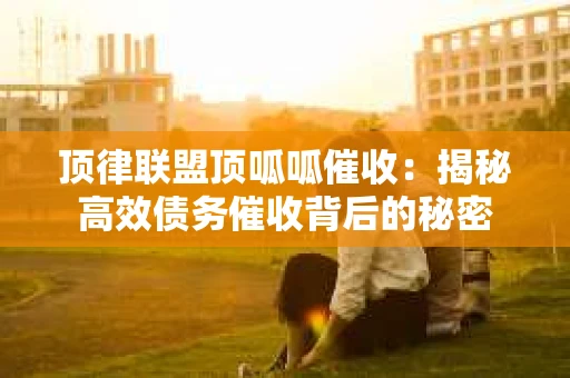 顶律联盟顶呱呱催收：揭秘高效债务催收背后的秘密