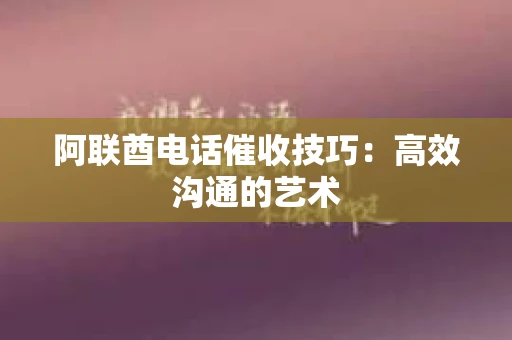 阿联酋电话催收技巧：高效沟通的艺术