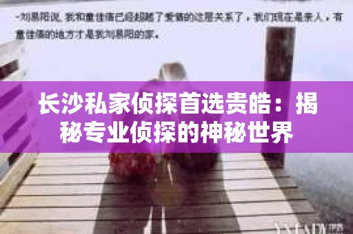 长沙私家侦探首选贵皓：揭秘专业侦探的神秘世界