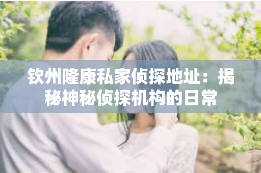 钦州隆康私家侦探地址：揭秘神秘侦探机构的日常