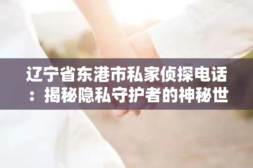 辽宁省东港市私家侦探电话：揭秘隐私守护者的神秘世界