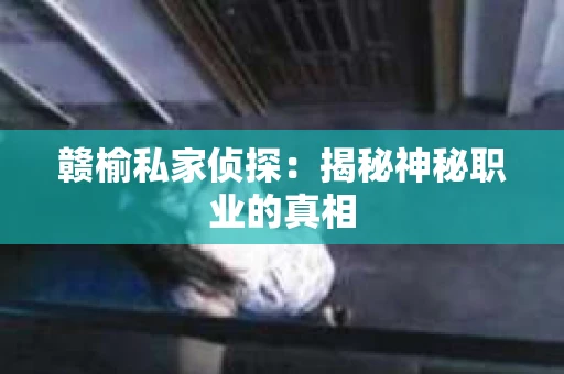 赣榆私家侦探：揭秘神秘职业的真相