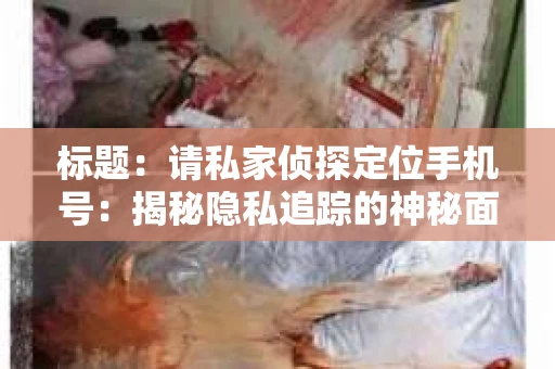 标题：请私家侦探定位手机号：揭秘隐私追踪的神秘面纱
