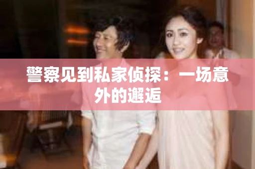 警察见到私家侦探：一场意外的邂逅