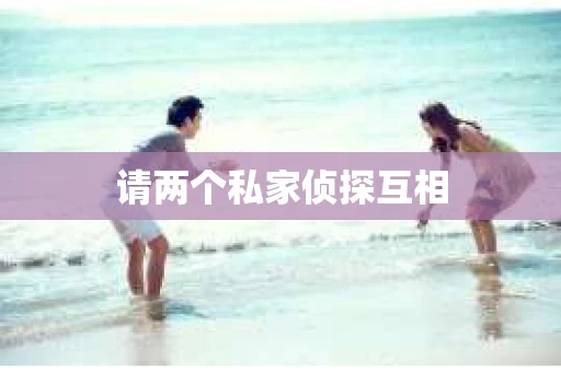 请两个私家侦探互相
