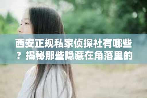 西安正规私家侦探社有哪些？揭秘那些隐藏在角落里的神秘力量