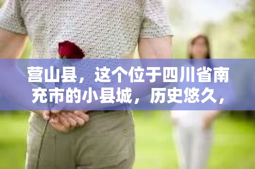 营山县，这个位于四川省南充市的小县城，历史悠久，风景秀丽。但在这个宁静的小县城里，你是否会好奇，有没有私家侦探的存在呢？今天，我就来和大家聊聊这个话题。