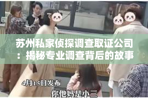 苏州私家侦探调查取证公司：揭秘专业调查背后的故事