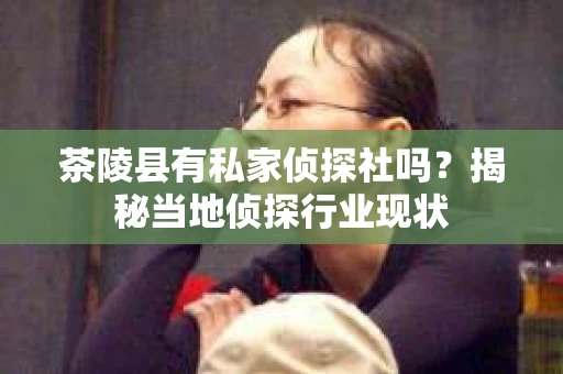 茶陵县有私家侦探社吗？揭秘当地侦探行业现状