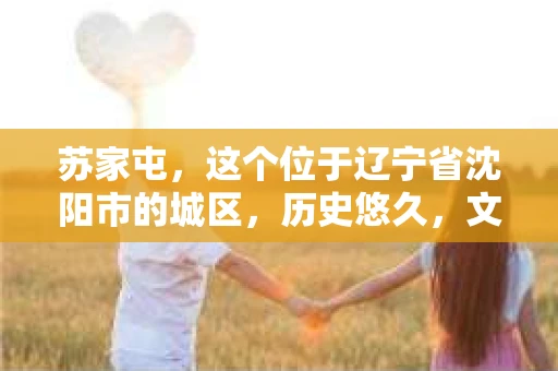 苏家屯，这个位于辽宁省沈阳市的城区，历史悠久，文化底蕴深厚。近年来，随着社会的发展，人们对于私家侦探的需求也逐渐增加。那么，苏家屯有私家侦探吗？今天，我们就来聊聊这个话题。