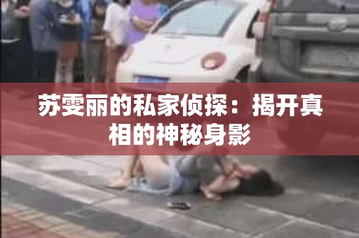 苏雯丽的私家侦探：揭开真相的神秘身影