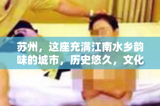 苏州，这座充满江南水乡韵味的城市，历史悠久，文化底蕴深厚。在这样一个充满故事的地方，私家侦探公司自然也不少。那么，苏州哪有私家侦探公司呢？今天，我就来给大家盘点一下。