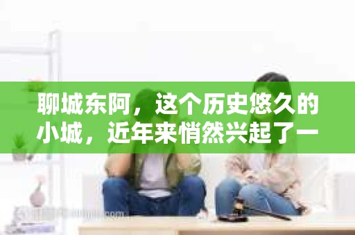 聊城东阿，这个历史悠久的小城，近年来悄然兴起了一股新的服务潮流——私家侦探。今天，我们就来聊聊这个话题，看看在聊城东阿，私家侦探是如何成为人们生活中的一部分的。