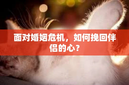 面对婚姻危机，如何挽回伴侣的心？