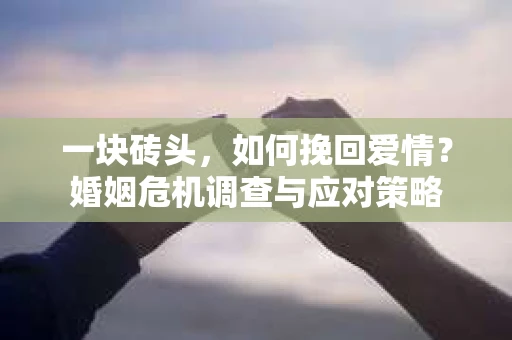一块砖头，如何挽回爱情？婚姻危机调查与应对策略