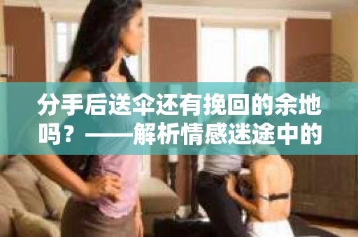 分手后送伞还有挽回的余地吗？——解析情感迷途中的决策