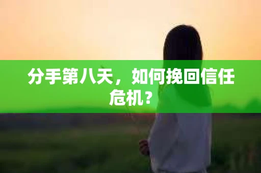 分手第八天，如何挽回信任危机？