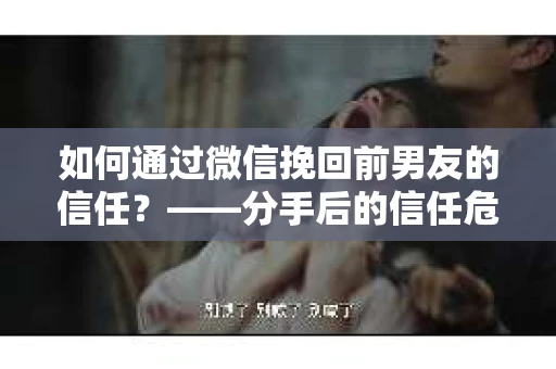 如何通过微信挽回前男友的信任？——分手后的信任危机解决方案