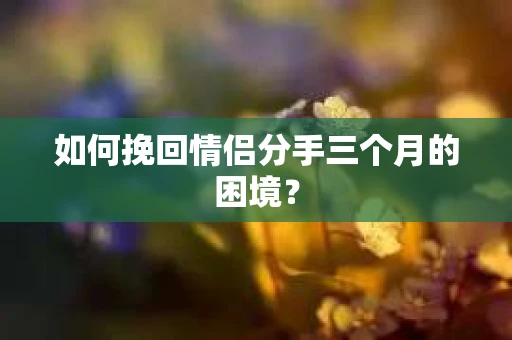 如何挽回情侣分手三个月的困境？